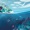Sleepy Fish - Velocities