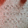 What Moves (Soulwax Remix) - Single