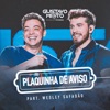 Plaquinha de Aviso (Ao Vivo em Fortaleza) [feat. Wesley Safadão] - Single, 2020