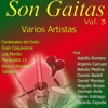Son Gaitas, Vol. 3