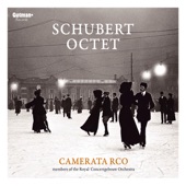 Schubert Octet in F major, D. 803: II. Adagio artwork
