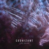 Cognizant - Single