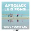 Wave Your Flag (feat. Luis Fonsi) song lyrics