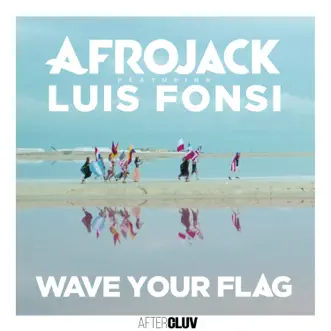 Wave Your Flag (feat. Luis Fonsi) by Afrojack song reviws