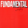Fundamental as Anything, 1985