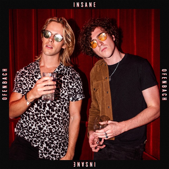 Cover artwork for Insane