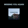Missing You Again - Single album lyrics, reviews, download