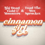 Big Head Todd & The Monsters & Toad the Wet Sprocket - Cinnamon Girl