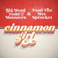 Big Head Todd & The Monsters + Toad The Wet Sprocket Ablum Cover