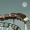 Rollercoaster - Dukula