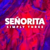 Señorita - Single