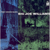 Piney Wood Blues - Big Joe Williams