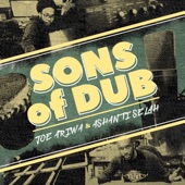 Sons of Dub! artwork