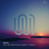 Tell the Truth (feat. Barrett Crake) artwork