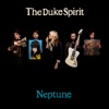 The Duke Spirit