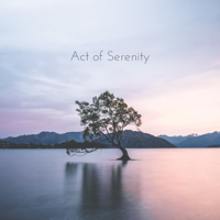Various Artists - Act of Serenity artwork