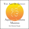The Art of Ecstasy Aquarian Sadhana Mantras