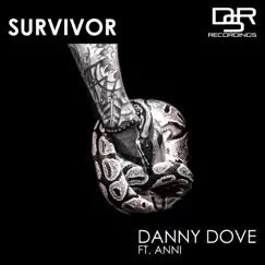 Survivor (feat. Anni) Song Lyrics