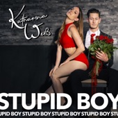 Stupid Boy artwork