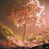 Misael Gauna - Spring