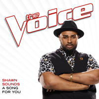 Shawn Sounds - A Song For You (The Voice Performance) artwork