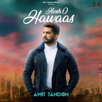 Amit Tandon - Hosho Hawaas - Single artwork