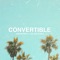Convertible (feat. Julian Avila) - Jason Rich lyrics
