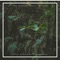 The Jungle - Chill Station lyrics