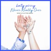 Never Really Over (Wow & Flutter Remix) - Single