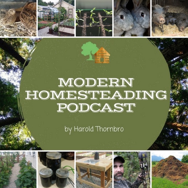 The Modern Homesteading Podcast cover