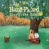 Hand-Picked Bluegrass - The Letter