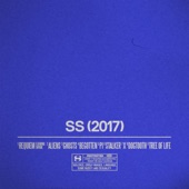 Ss (2017) artwork