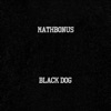 Black Dog