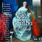 Concerto for Oboe, Violin and Viola da Gamba in G Minor, TWV 43:g2: I. Affettuoso - Vivace - Adagio - Allegro artwork