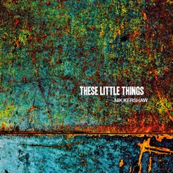 THESE LITTLE THINGS cover art