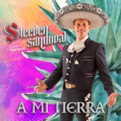 A Mi Tierra artwork