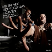 Mix the Vibe: Teddy Douglas & DJ Spen (Basement Boys & the MuthaFunkaz) artwork
