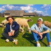 Pastirče mlado - Single