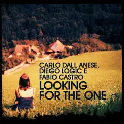 Looking for the One by Carlo Dall Anese, Fabio Castro & Diego Logic album reviews, ratings, credits