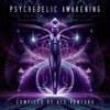 Psychedelic Awakening, 2018