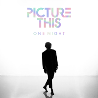 Picture This - One Night artwork