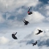 Giant Rooks - Track 3