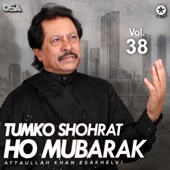 Tumko Shohrat Ho Mubarik, Vol. 38 artwork