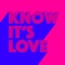 Know It's Love (Extended Mix) artwork