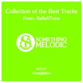 Collection of the Best Tracks from: Raflestone artwork