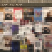 What You Need artwork