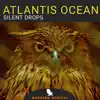 Silent Drops - EP album lyrics, reviews, download