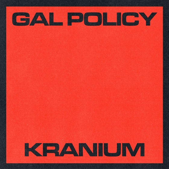 Cover artwork for Gal Policy