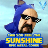 Can You Feel the Sunshine artwork