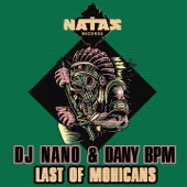 Last of Mohicans artwork
